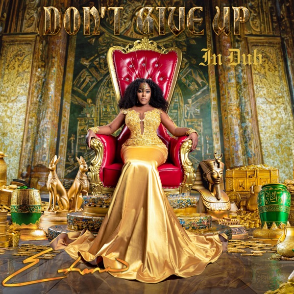 Don't Give up in Dub - Single album cover