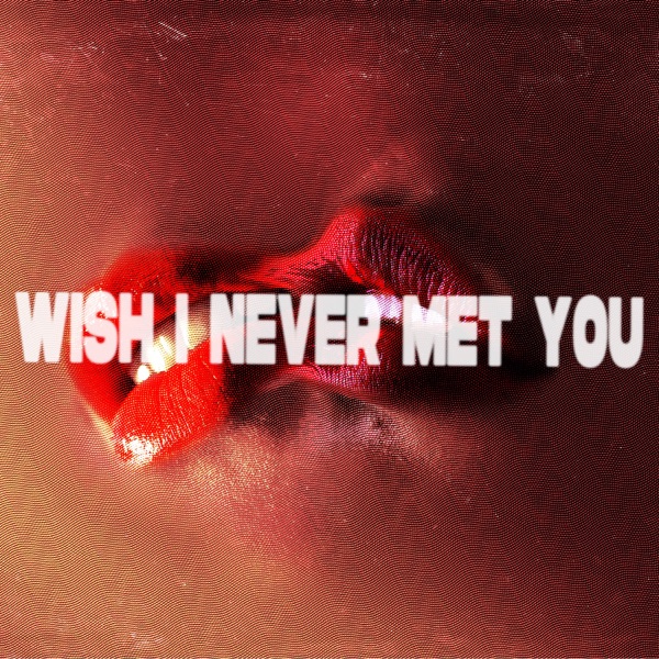 Wish I Never Met You - Single album cover