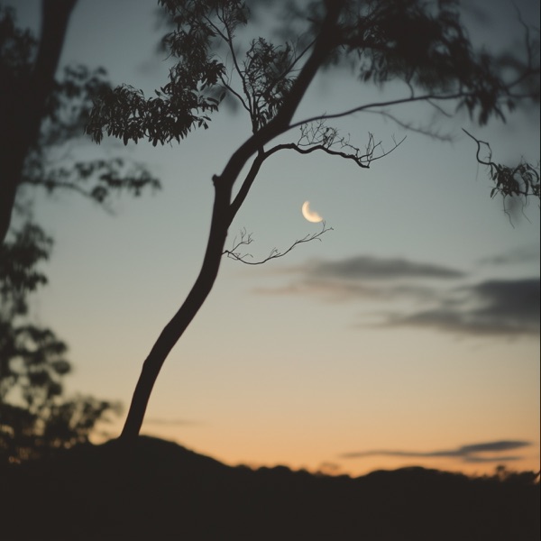 once upon a time - Single album cover