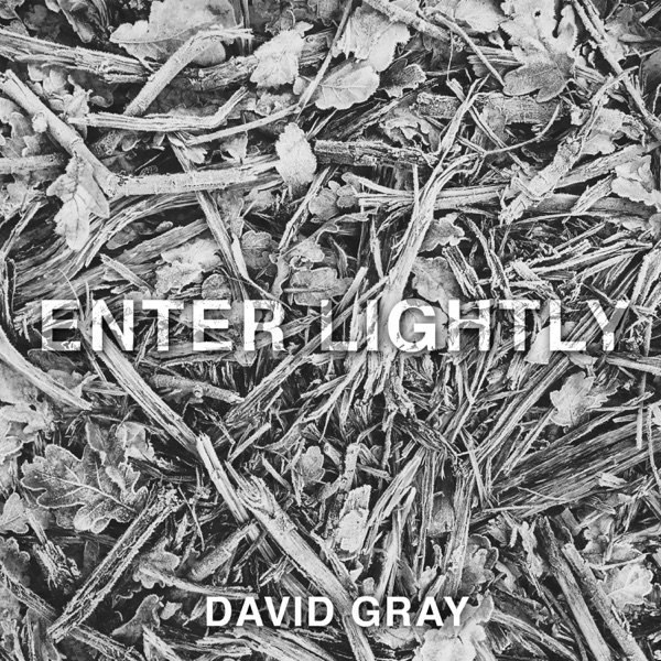 Enter Lightly - Single album cover