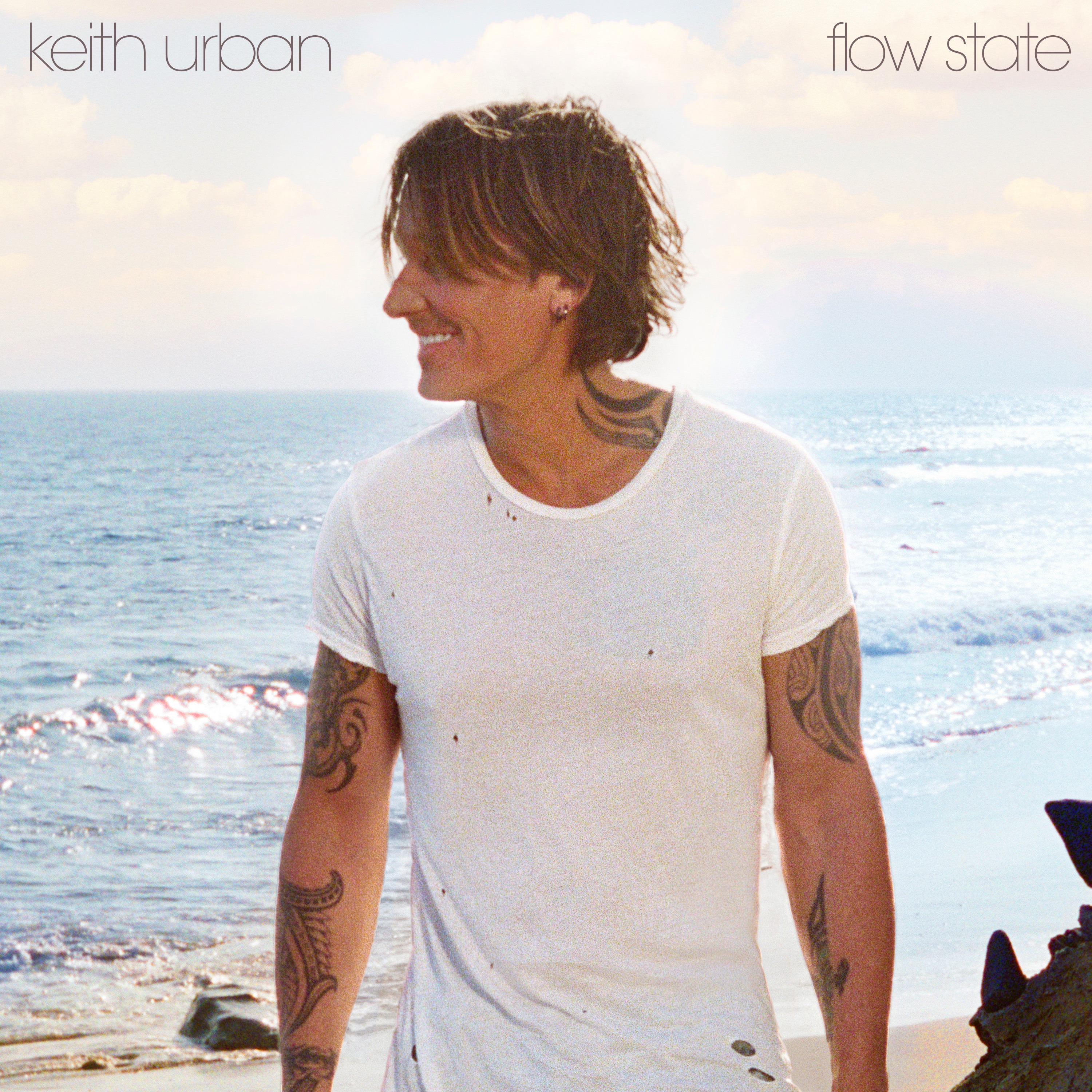 flow state album cover