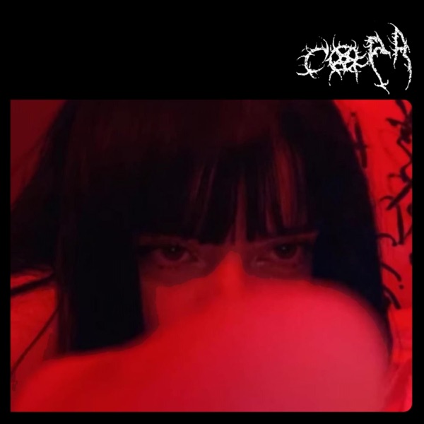 mulheres de franja * joão da arca fã clube 2 - Single album cover