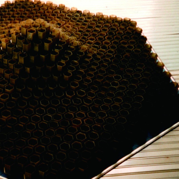 Cat Of Shell Vol​.​1 album cover