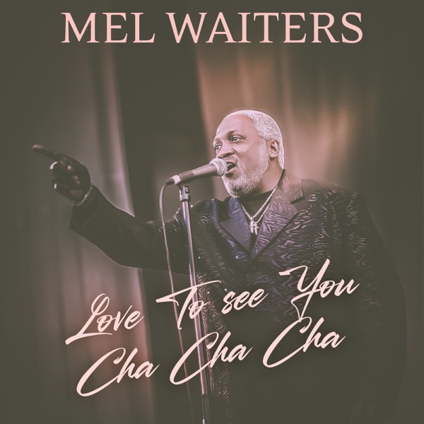 Love To See You Cha Cha Cha - Single album cover