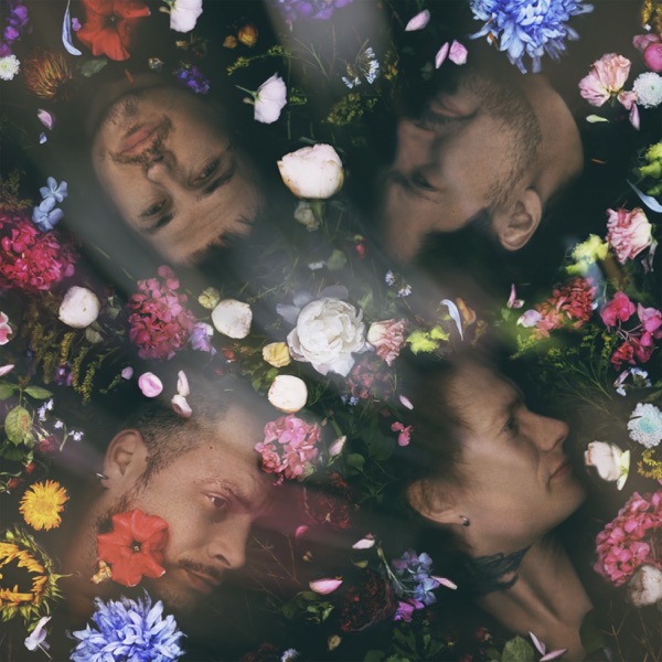 В цвете (Strings Orchestra Studio Live) album cover