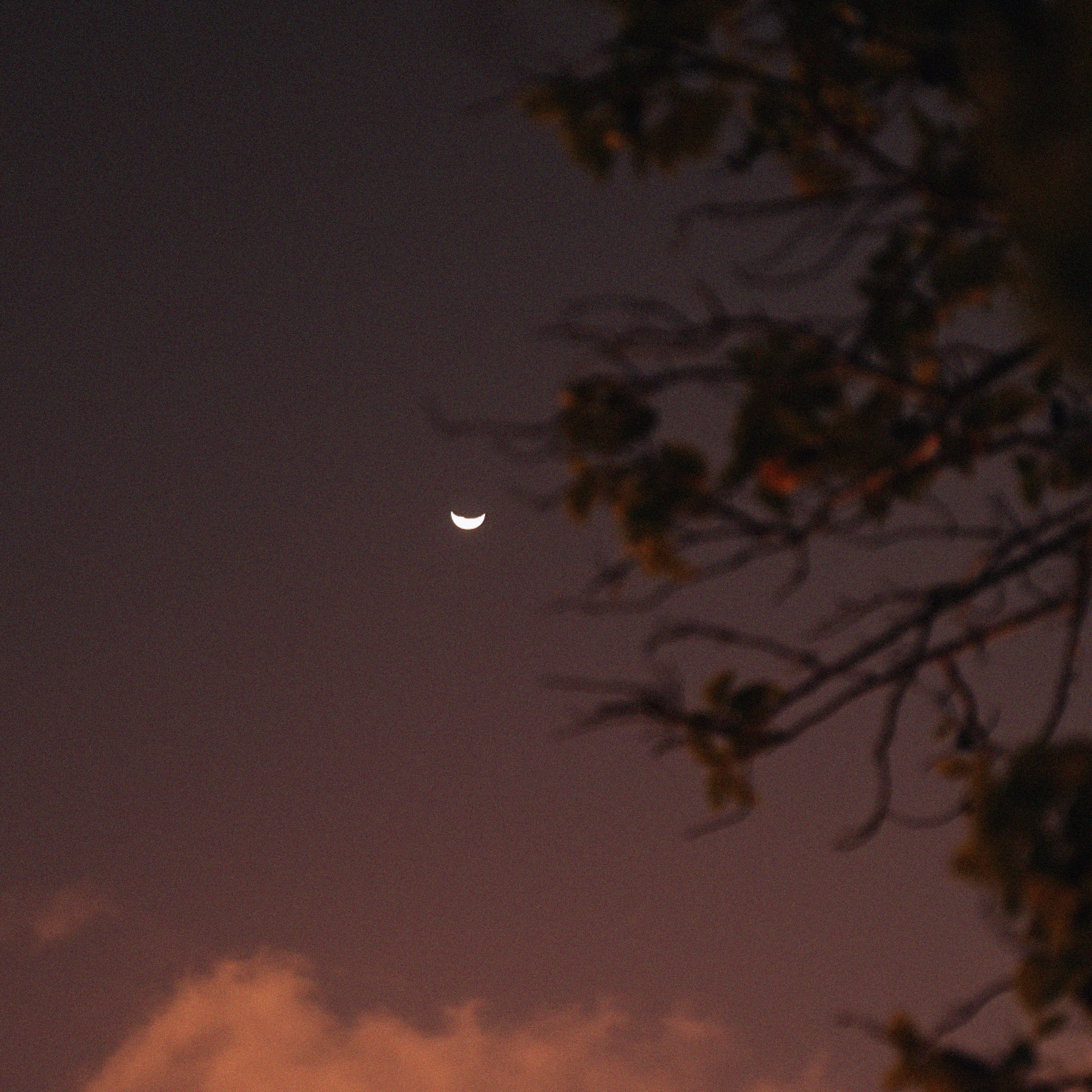 still warm from yesterday - Single album cover