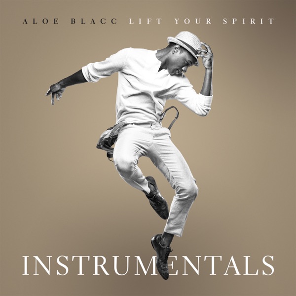 Lift Your Spirit (The Instrumentals) album cover