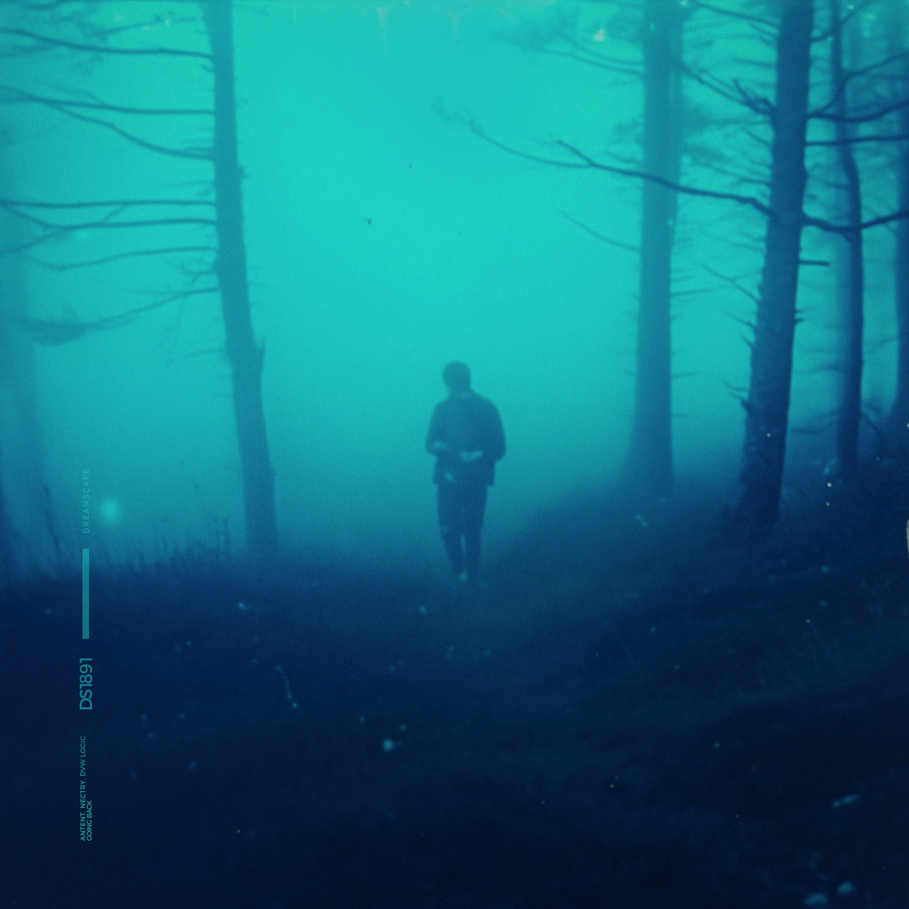 going back - Single album cover