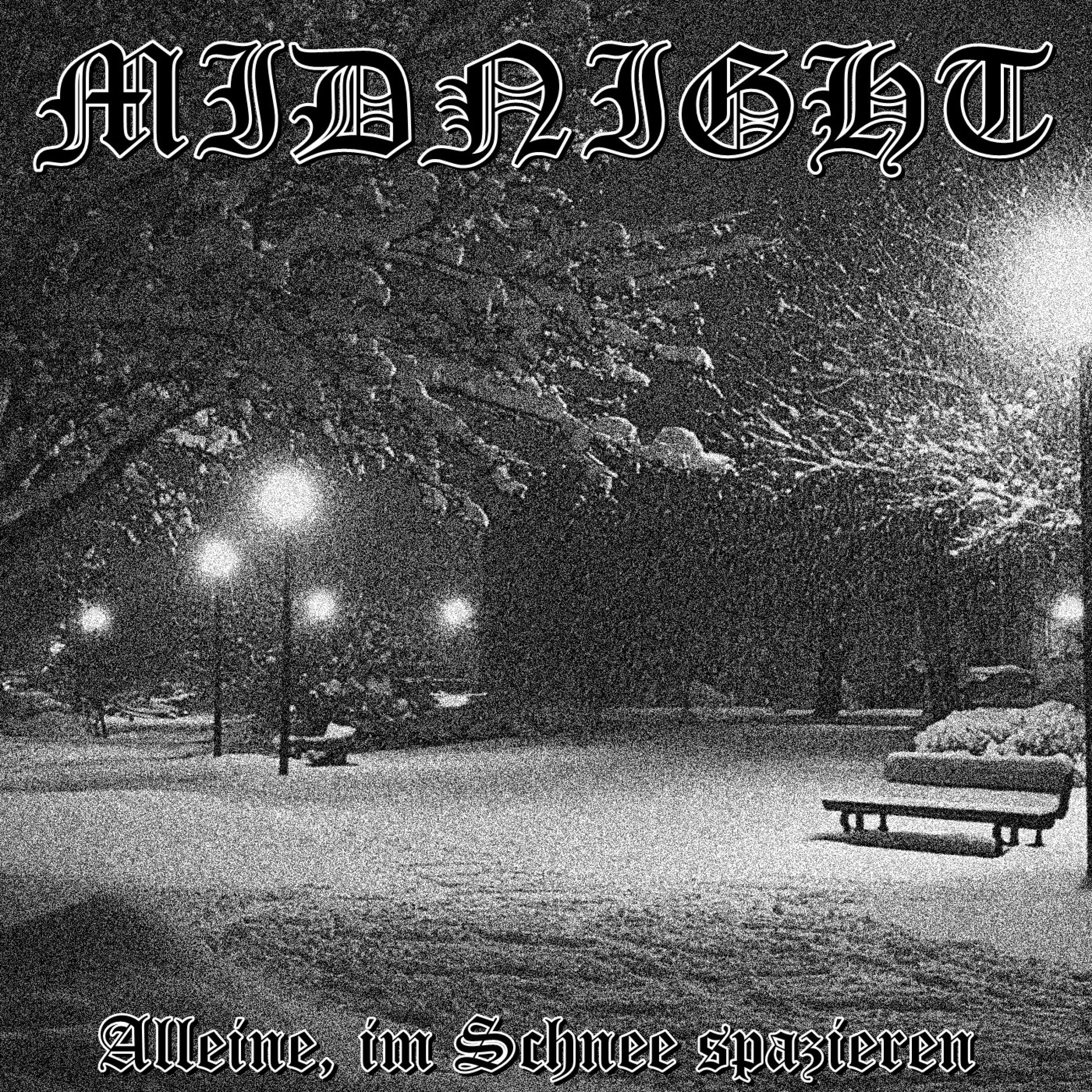 Alleine, im Schnee spazieren - Single album cover