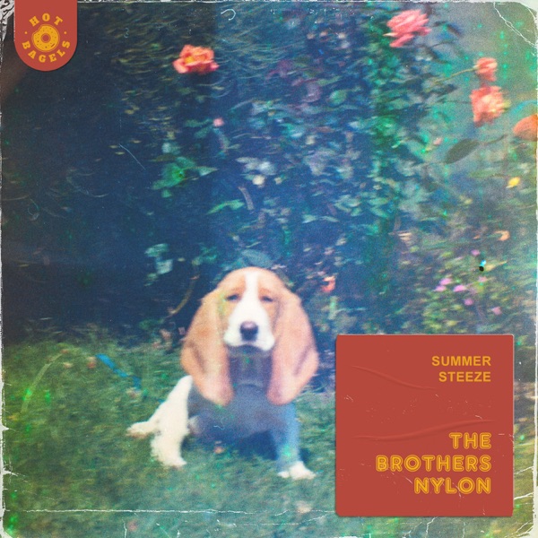 Summer Steeze - Single album cover