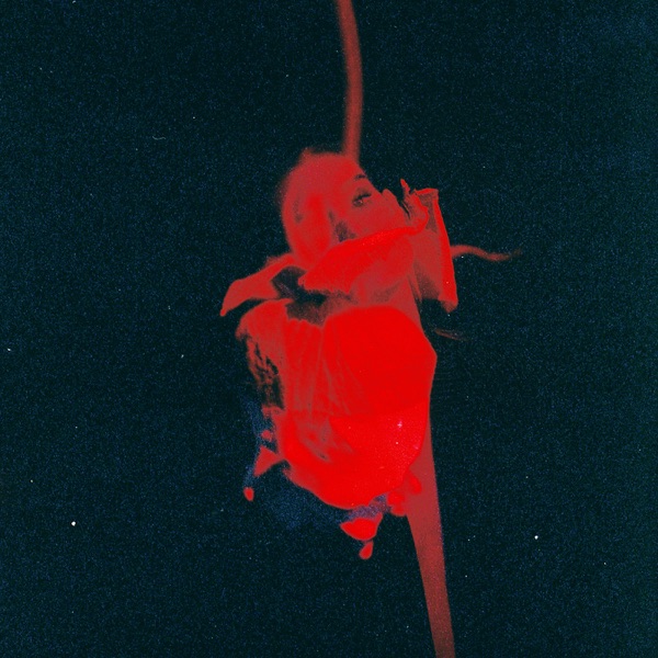 The Past Is Just a Story We Tell Ourselves - Single (feat. Falling Over Water & L. Lazarus) - Single album cover