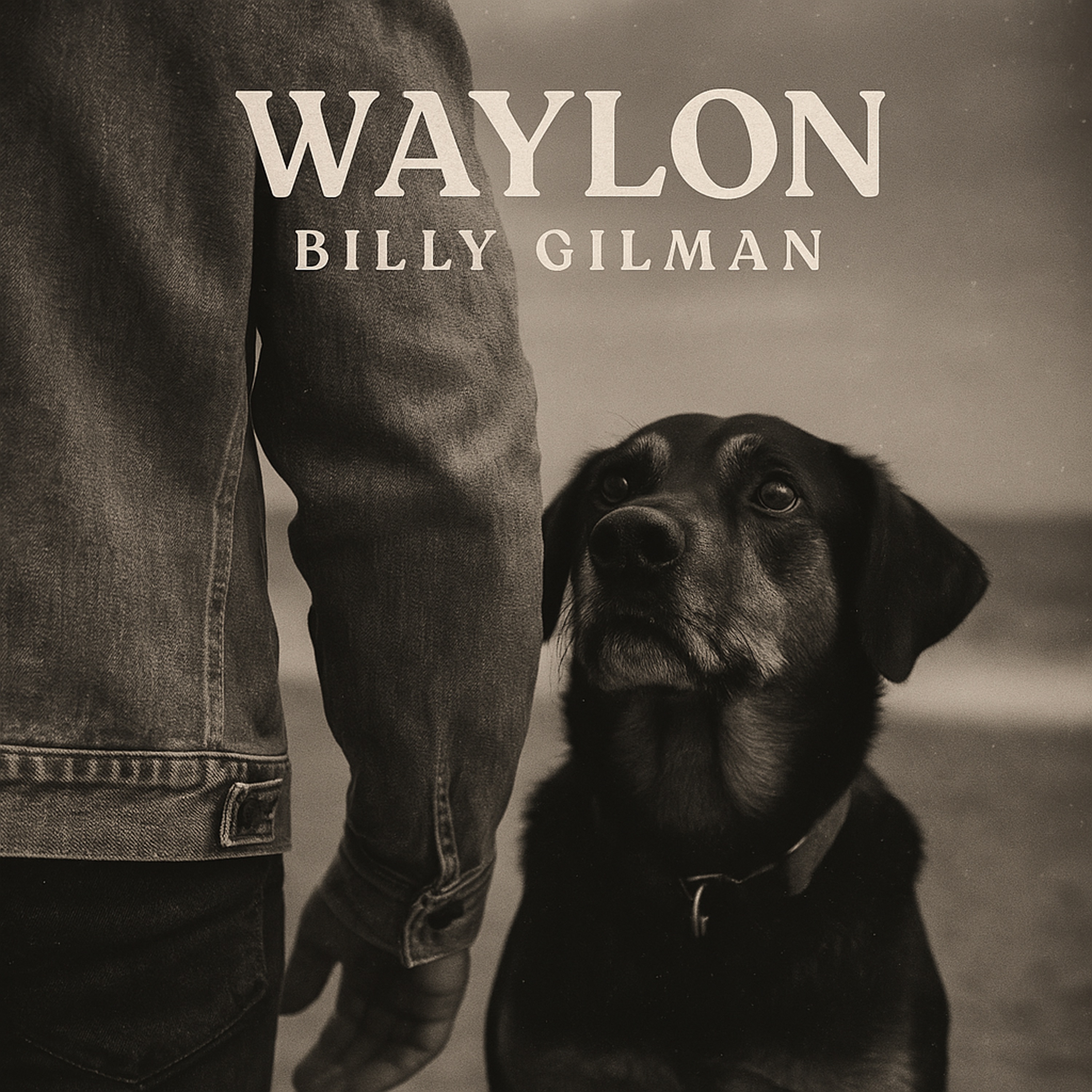Waylon - Single album cover