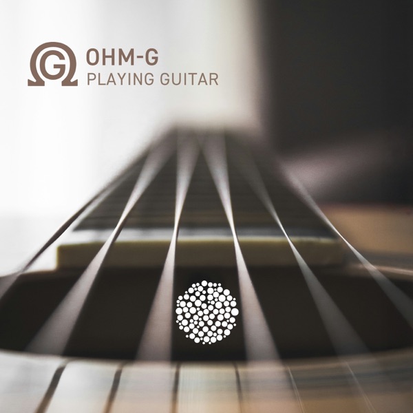 Playing Guitar album cover