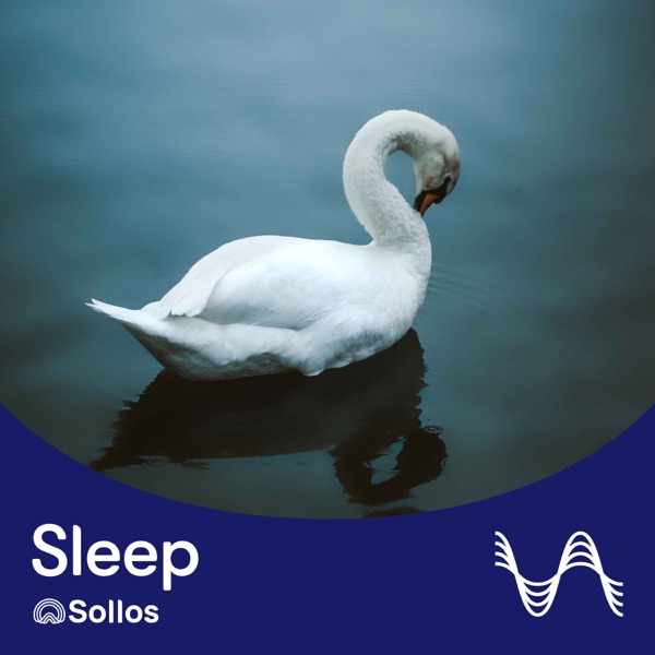 The Swan (Arr. for Piano and Strings) [Sollos Sleep Mix] album cover