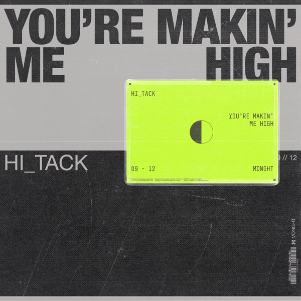 You're Makin Me High (Extended Mix) - Single album cover