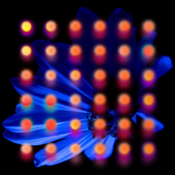 Nevertake (feat. Matty Mullins) album cover