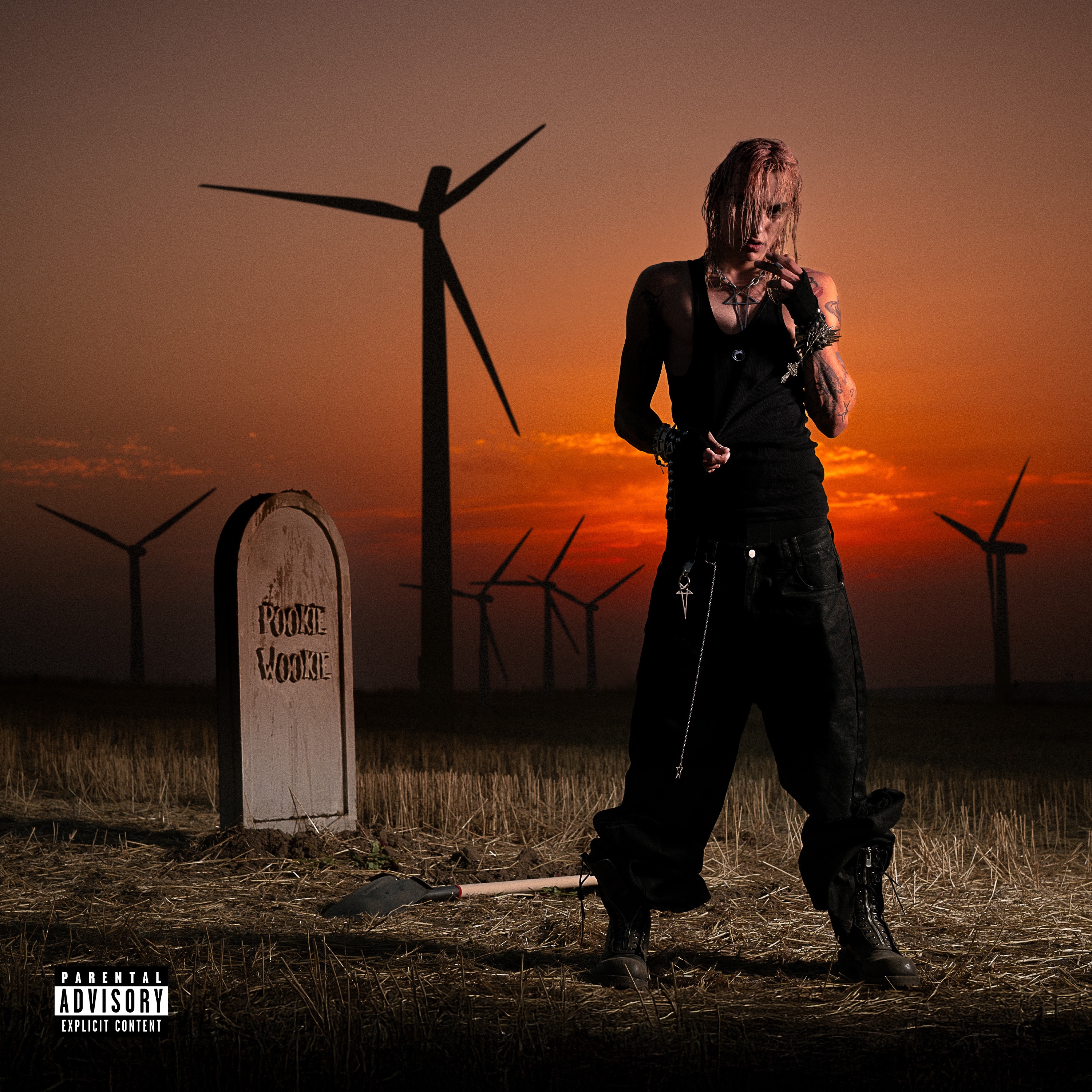 pookie wookie - Single album cover