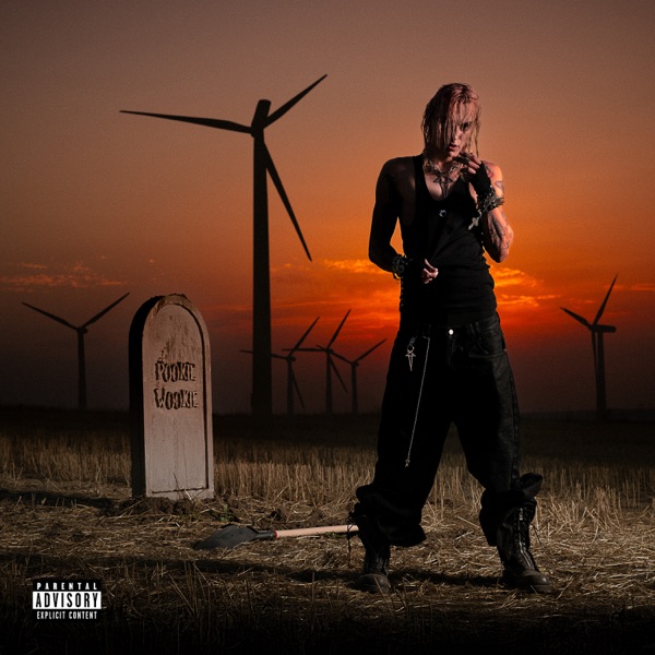 pookie wookie - Single album cover