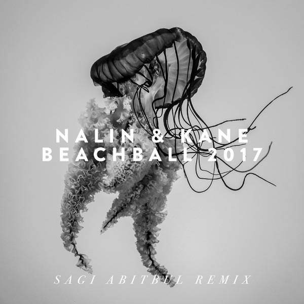 Beachball 2017 (Sagi Abitbul Remix) - Single album cover