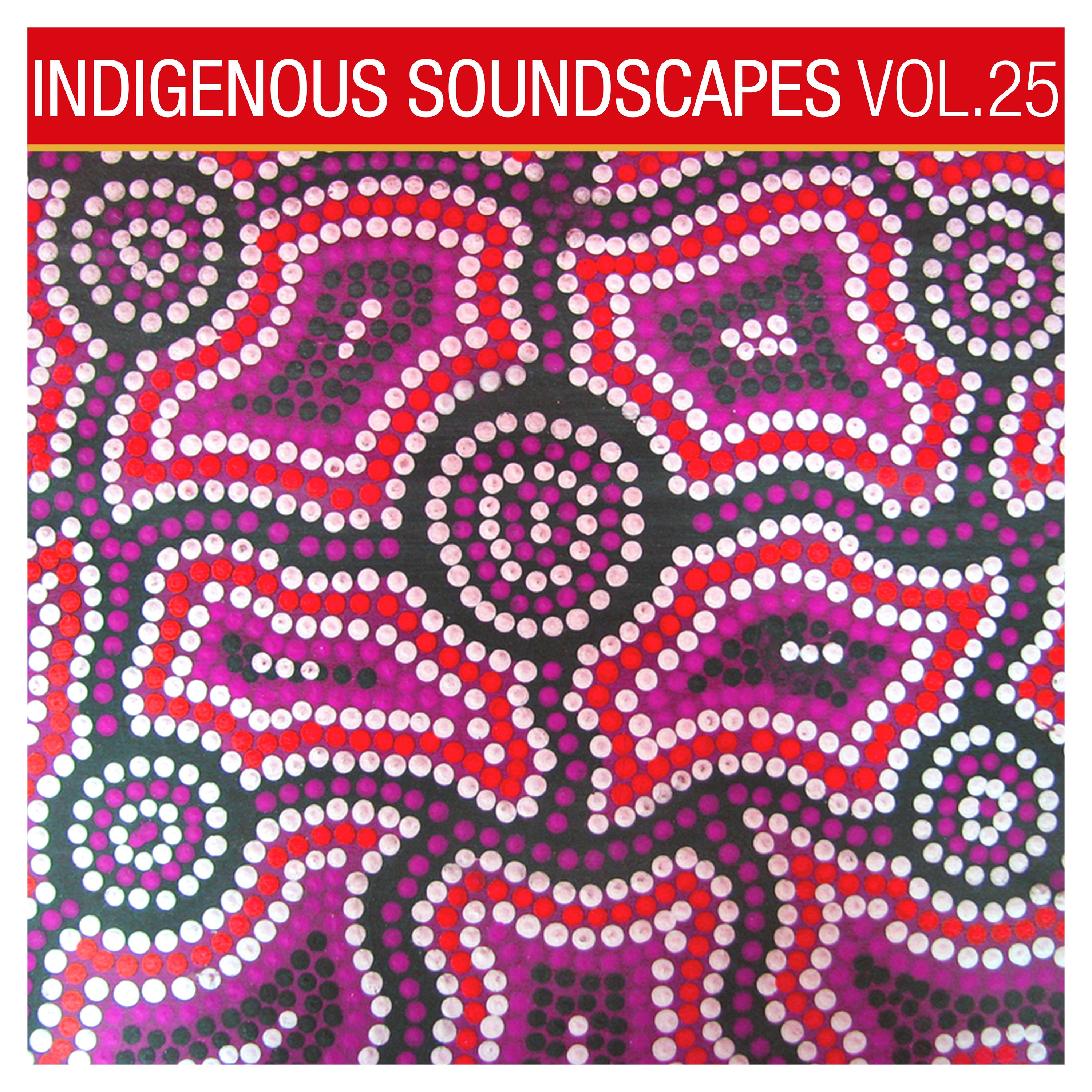 Indigenous Soundscapes, Vol. 25 album cover