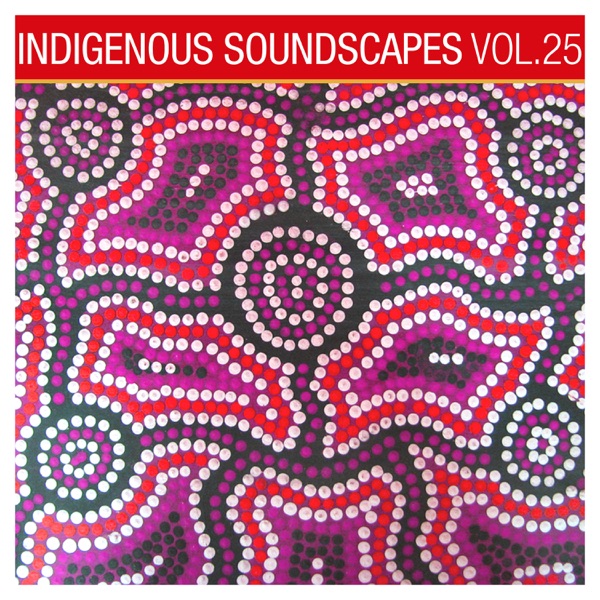 Indigenous Soundscapes, Vol. 25 album cover