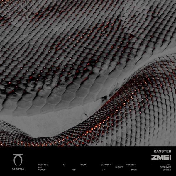 ZMEI - Single album cover