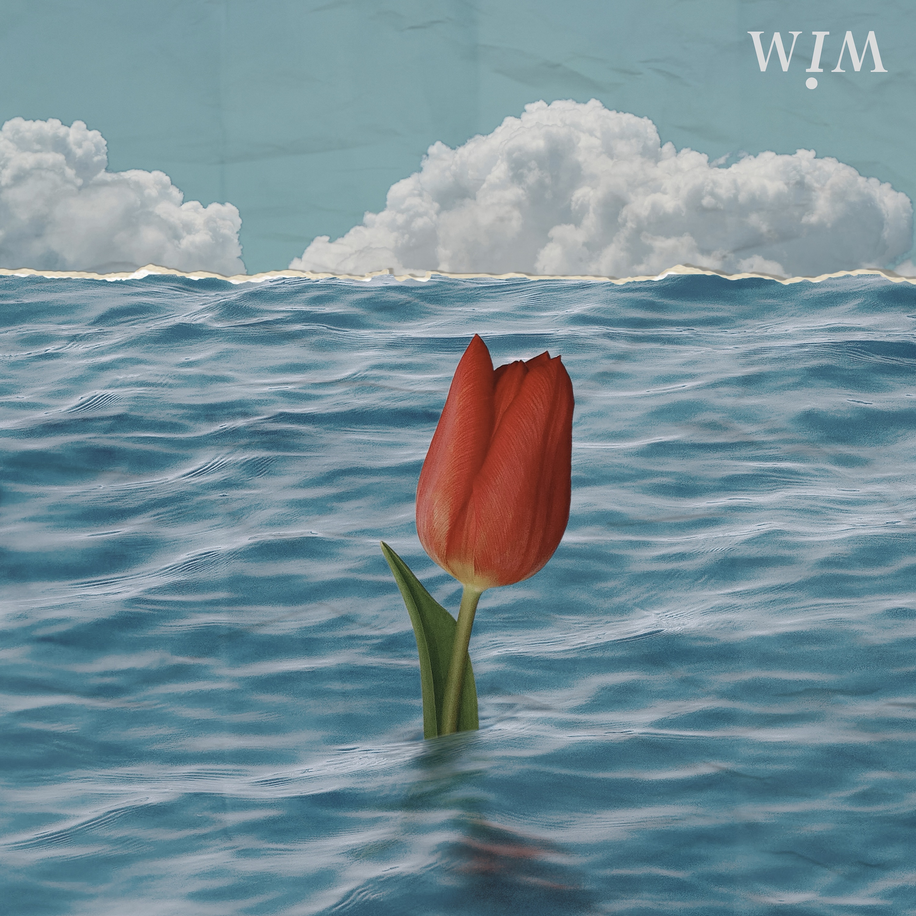 Weirdo - Single album cover