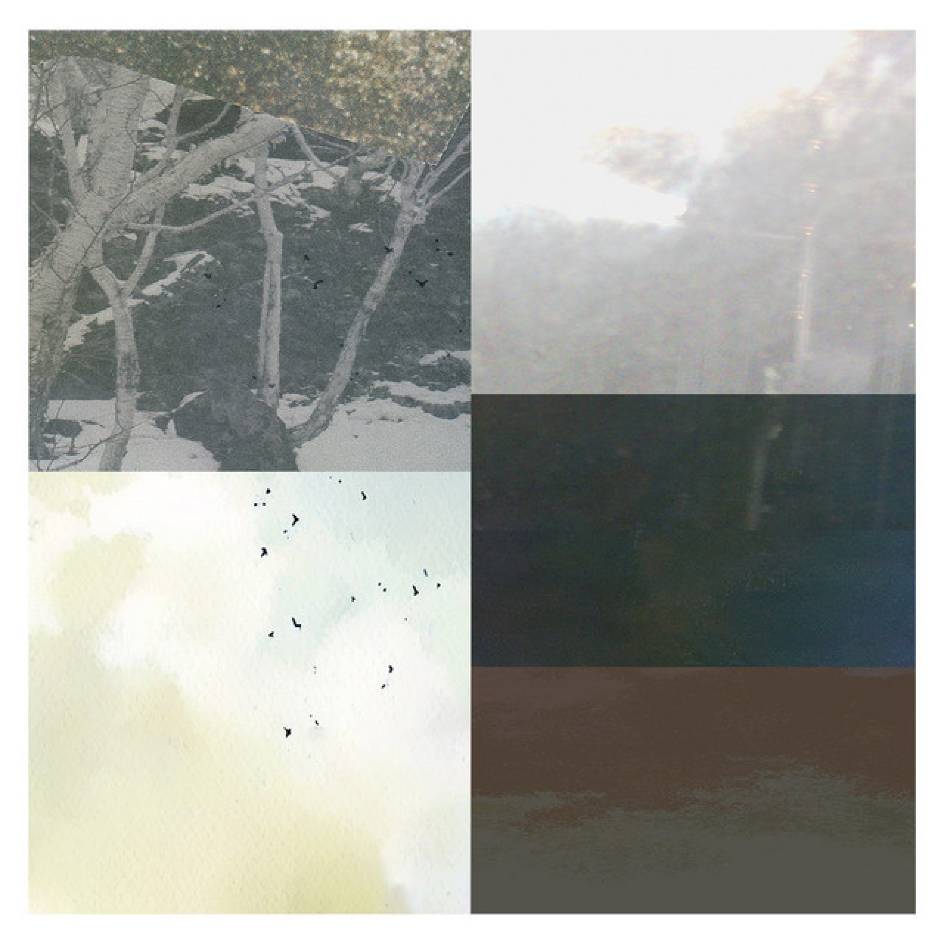 Dream Night - EP album cover