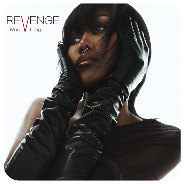 Revenge album cover