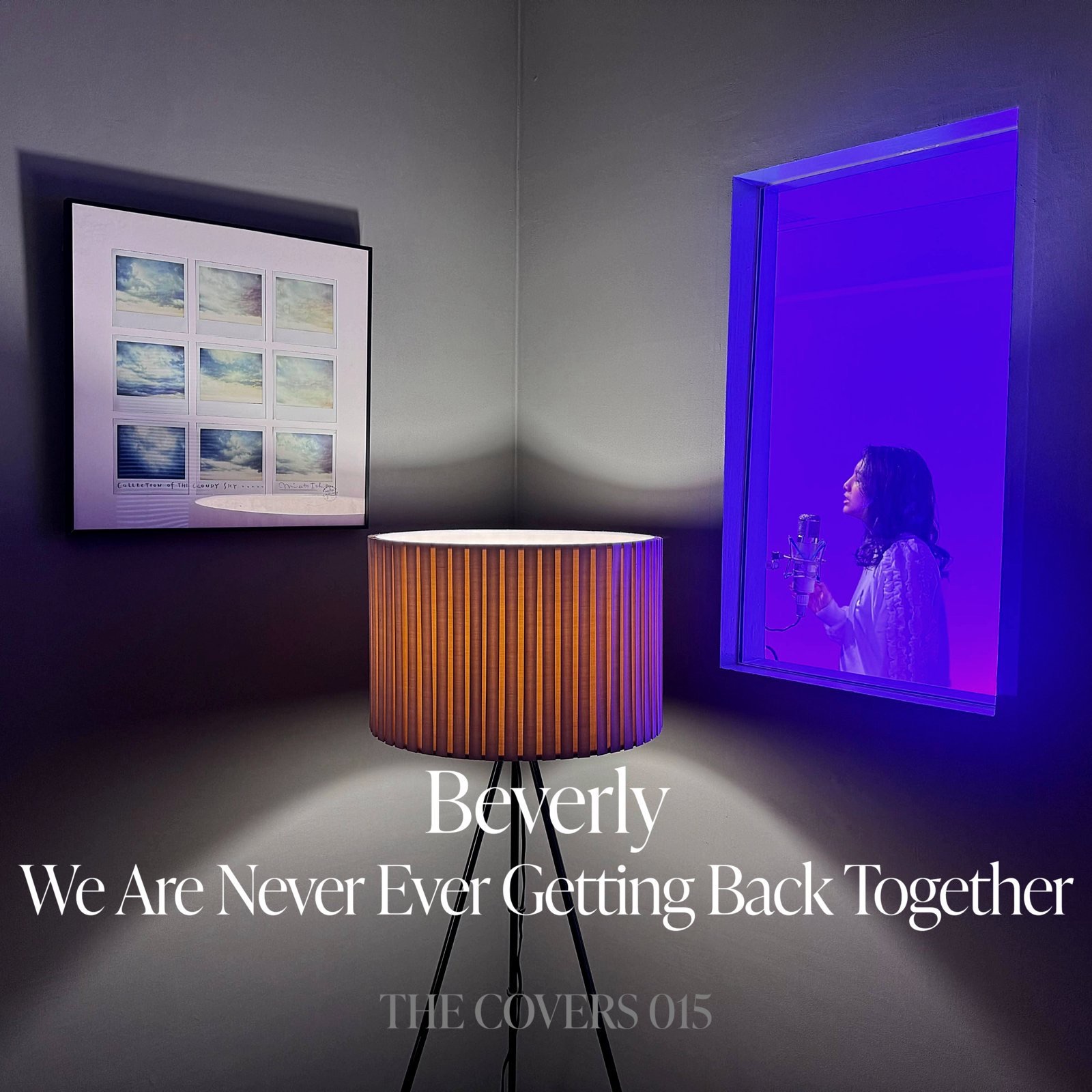 We Are Never Ever Getting Back Together - Single album cover