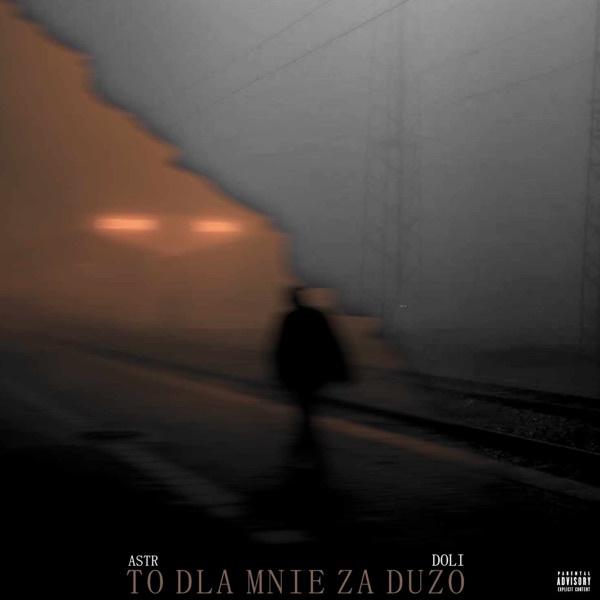 TO DLA MNIE ZA DUZO - EP album cover