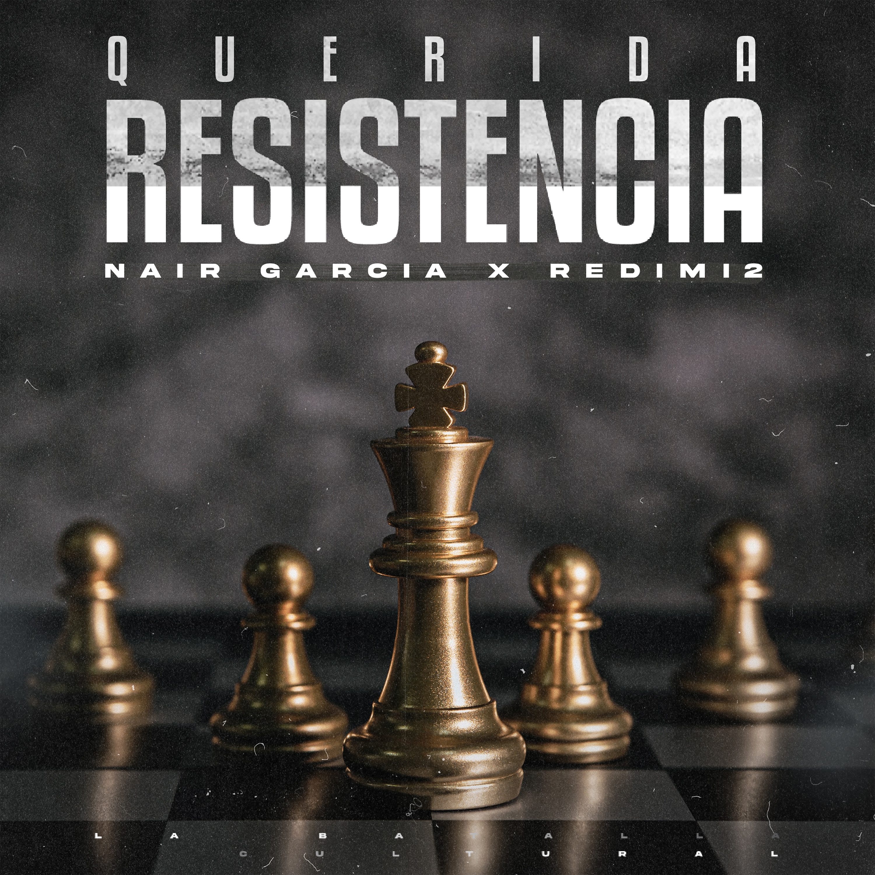 Querida Resistencia - Single album cover