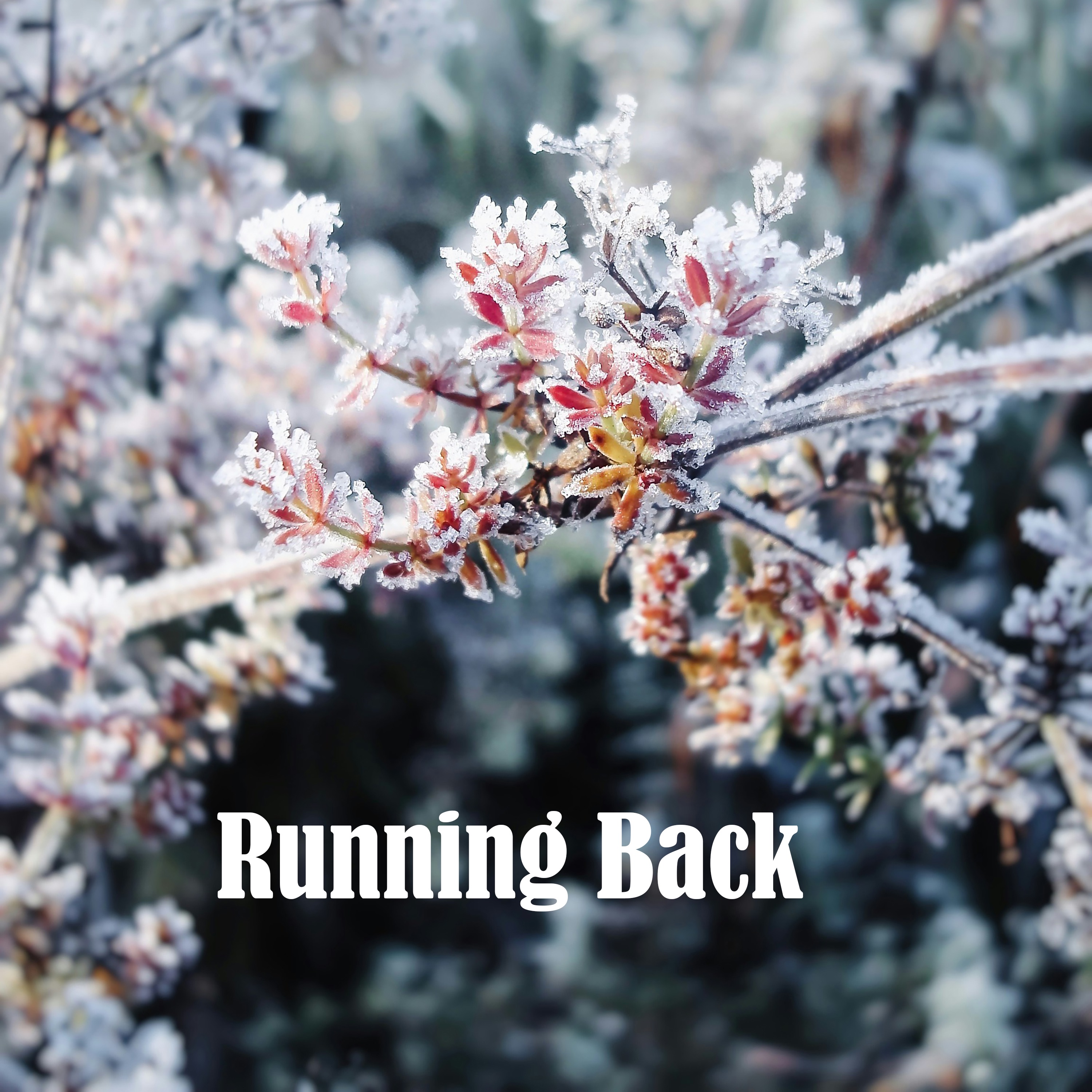 Running Back album cover