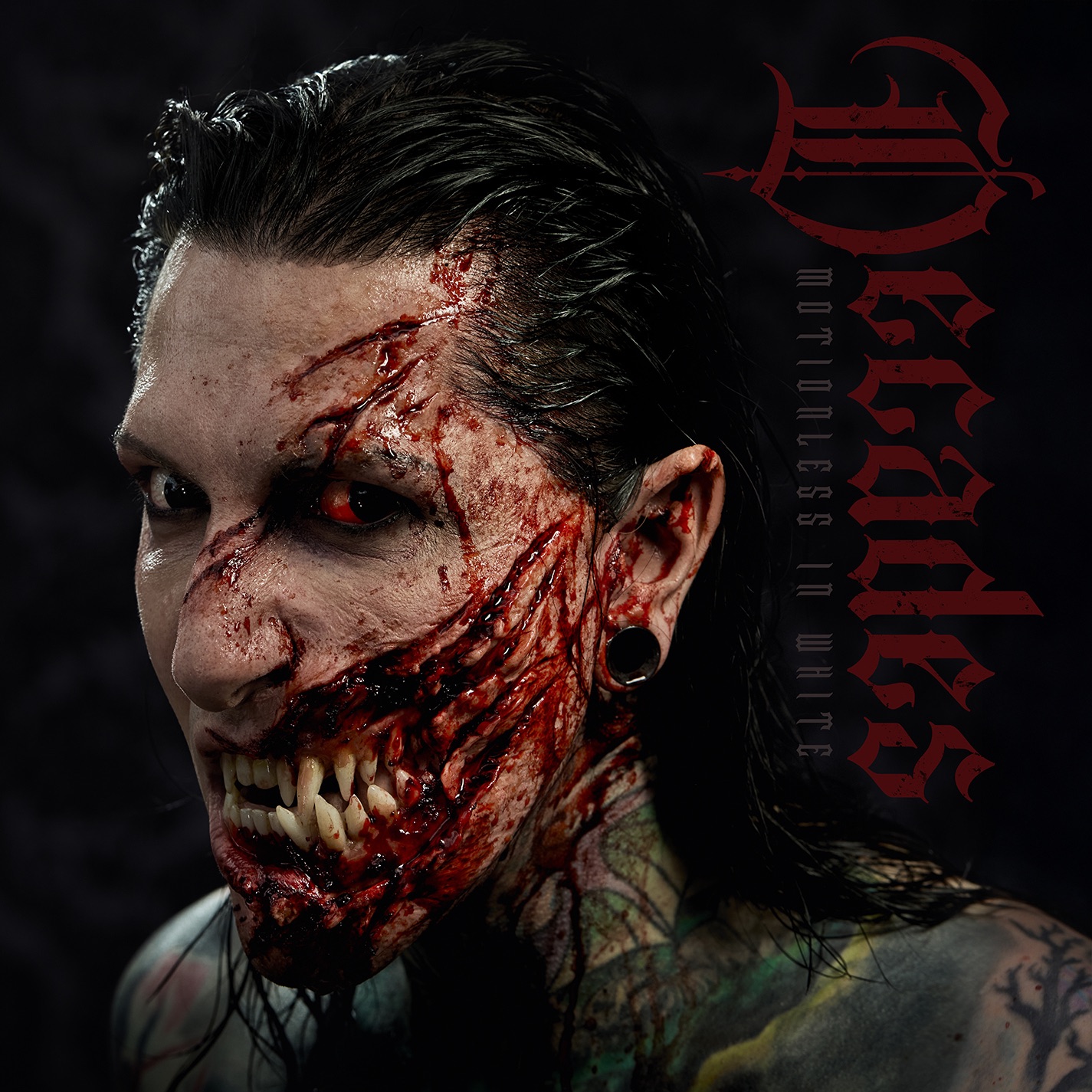 Decades album cover