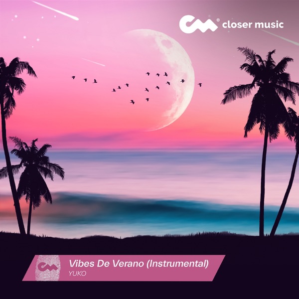 Vibes De Verano (Instrumental) - Single album cover