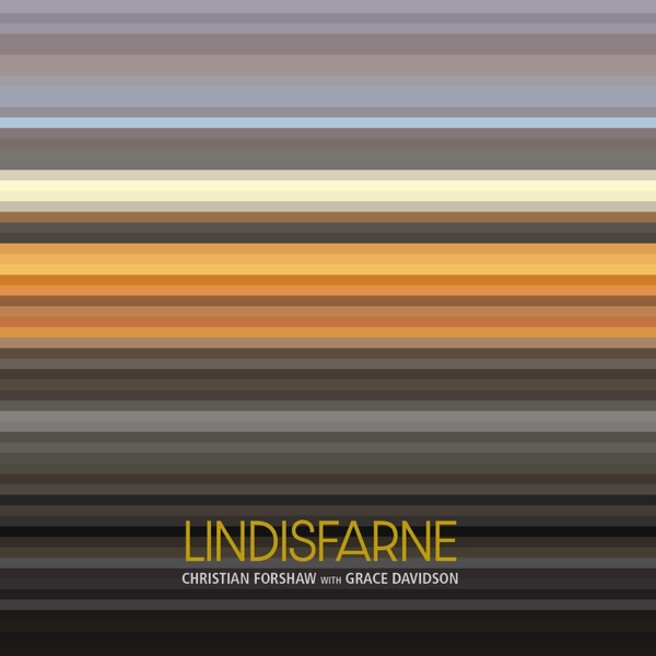 The Leiden Riddle - Single album cover