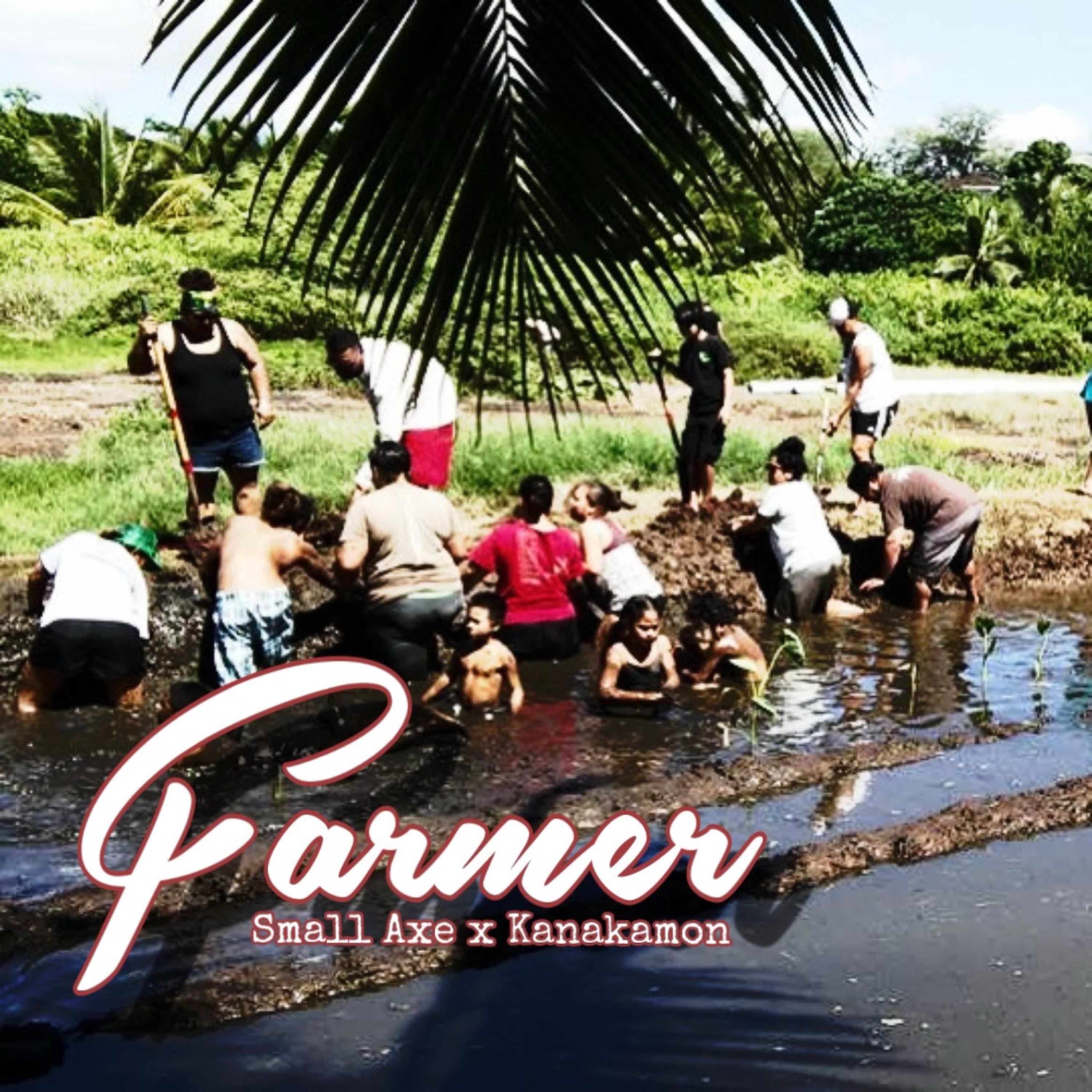Farmer - Single album cover