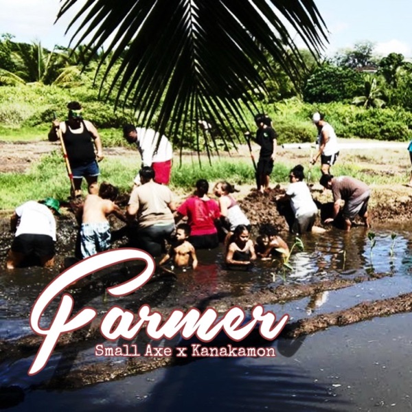 Farmer - Single album cover