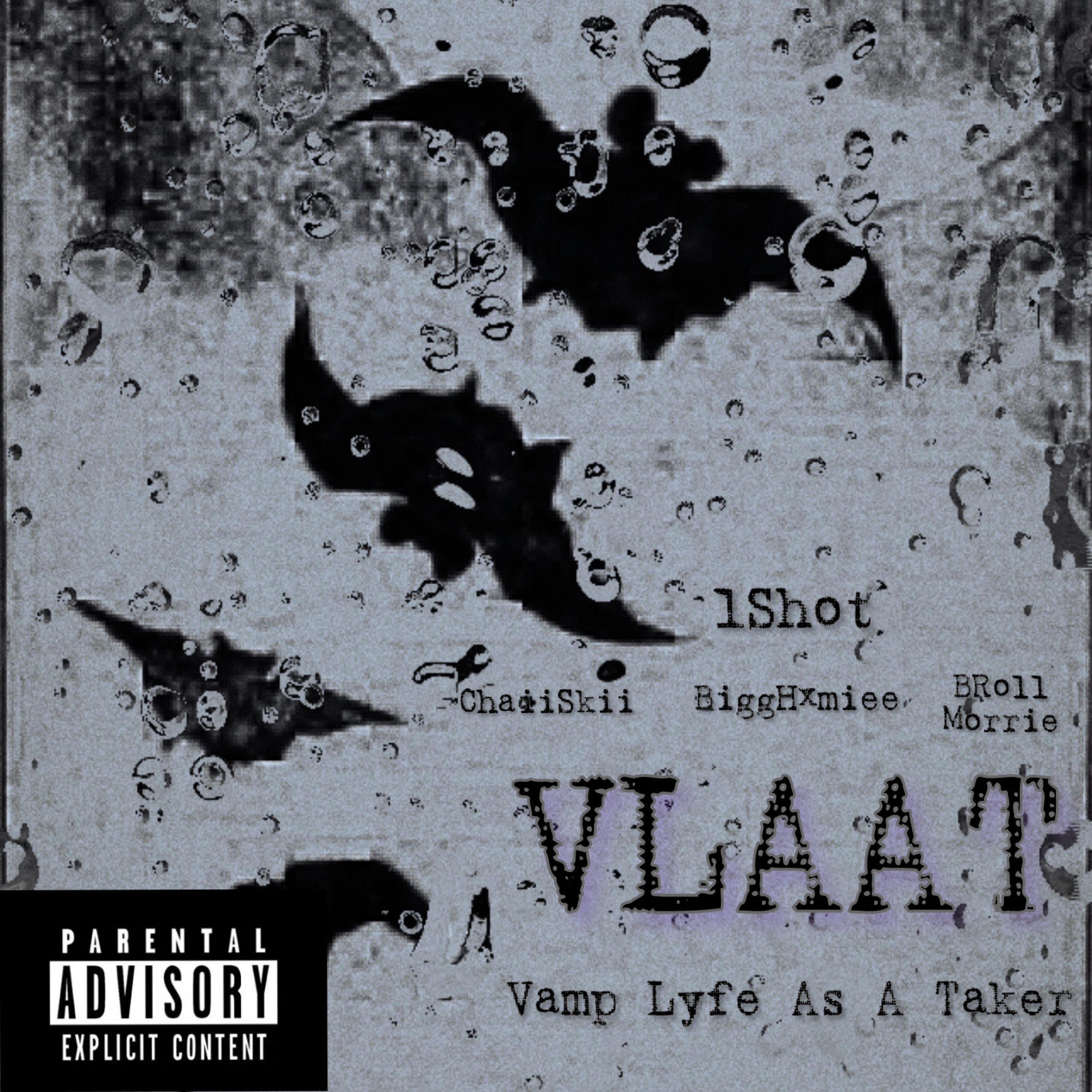 Vlaat album cover