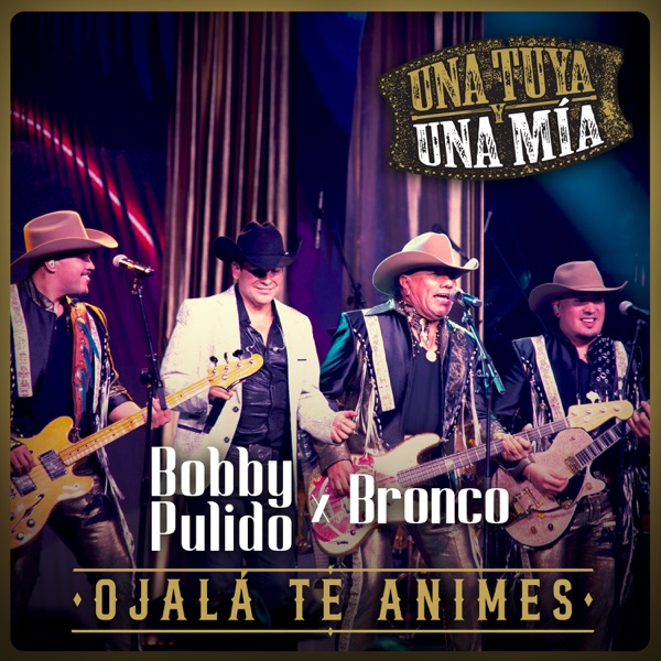 Ojalá Te Animes (En Vivo) - Single album cover