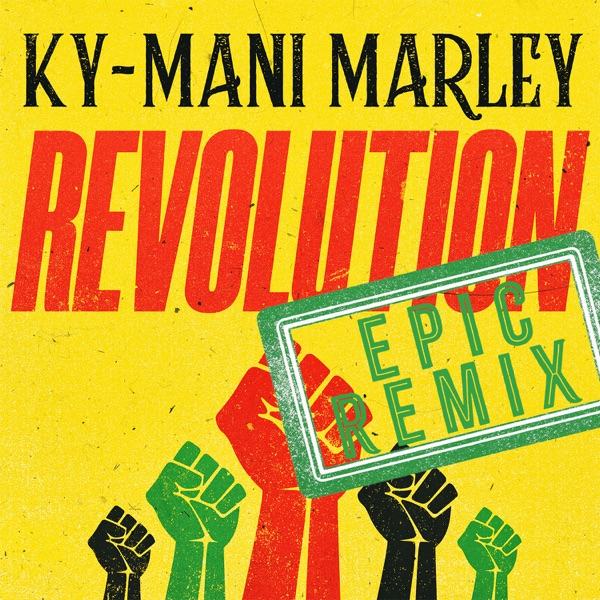 Revolution (Epic Remix) - Single album cover