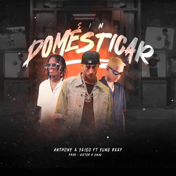 Sin Domesticar - Single album cover