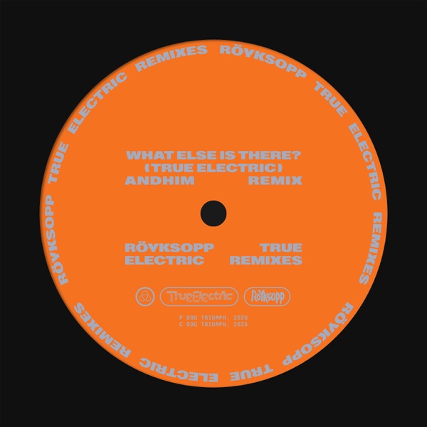 What Else Is There? (andhim Extended Remix) [feat. Fever Ray] - Single album cover