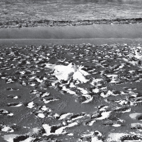 Revelará... - EP album cover