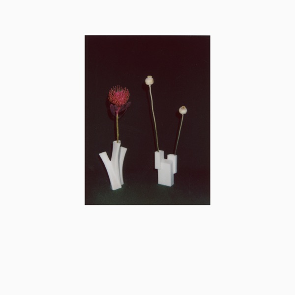 The Flower And The Vessel album cover