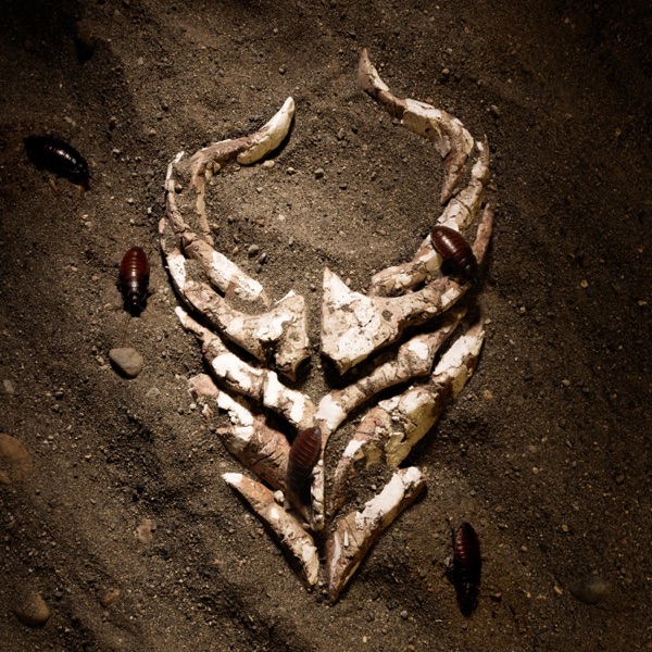 I'm Done - Single album cover