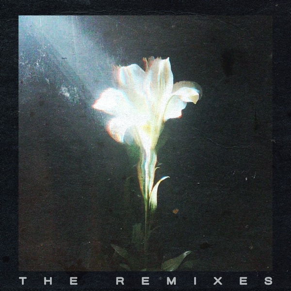 Light That Leads Me (The Remixes) - EP album cover