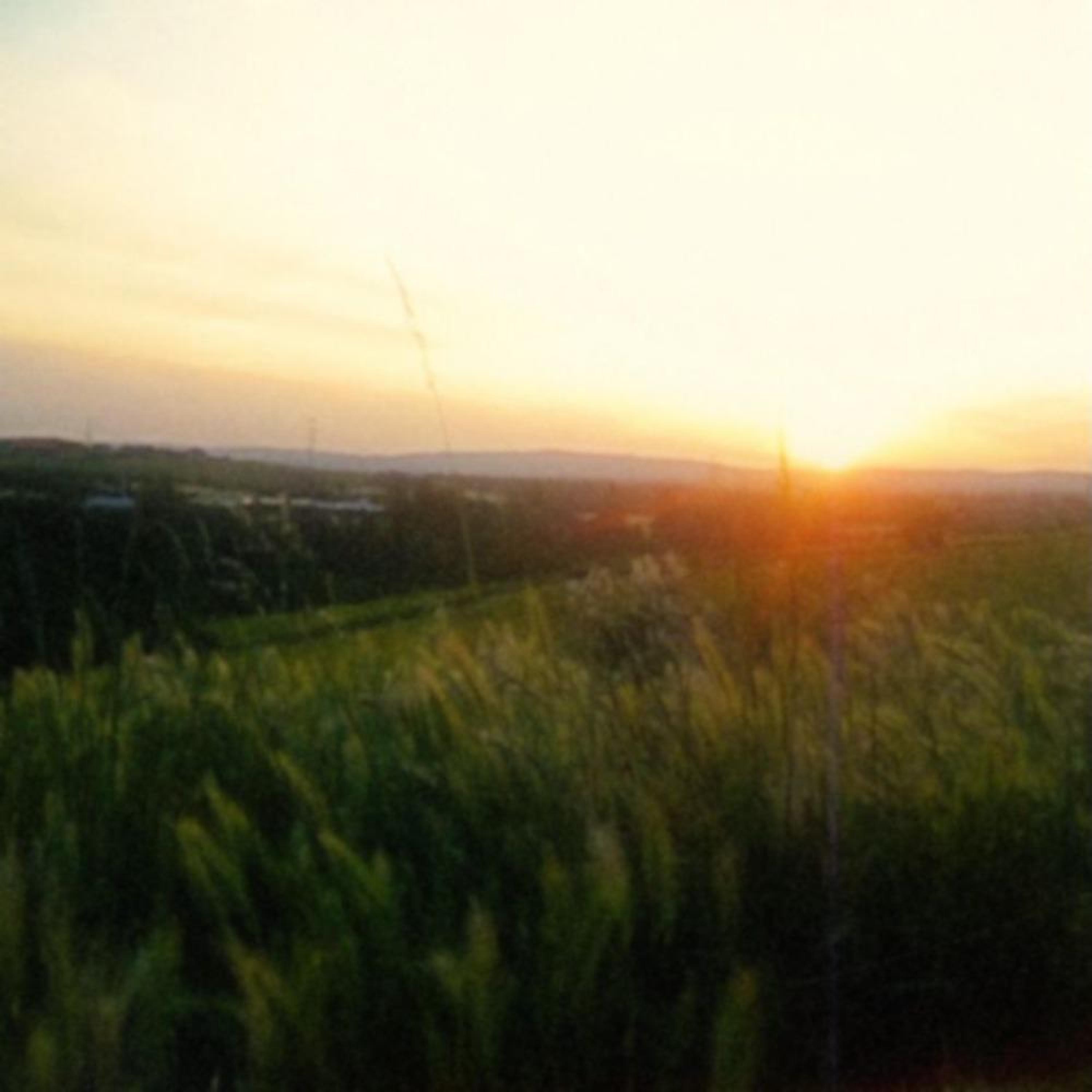 dreamscape - Single album cover