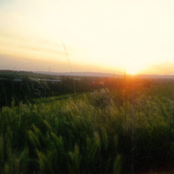 dreamscape - Single album cover