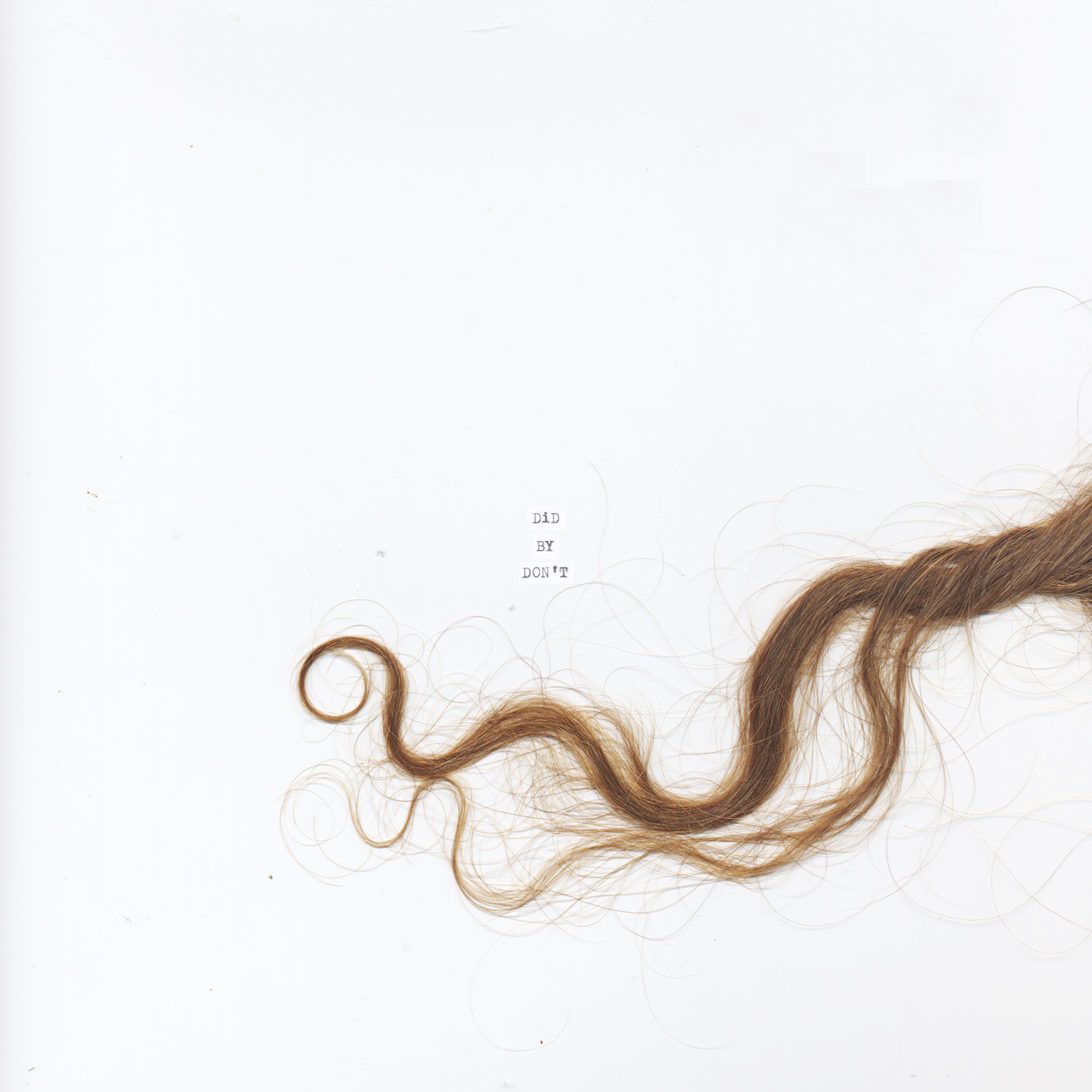 Did (feat. Cosmo Sheldrake) - Single album cover